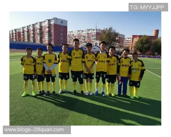 上海足球队的拼搏历程与荣耀时刻全景纪实