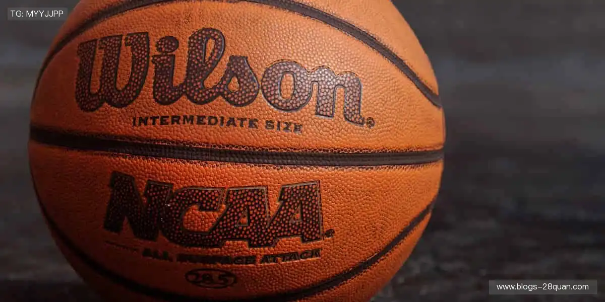 🚴 速度激情，赛道争锋！🏆